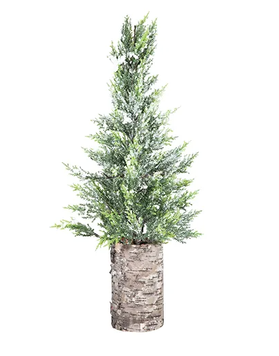 Wood Base Cyprus Tree Tall