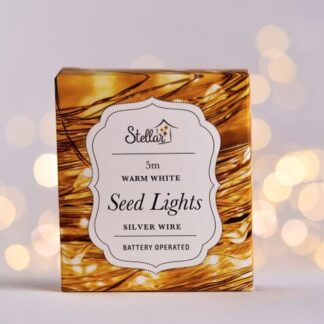 5m AA Silver Warm White